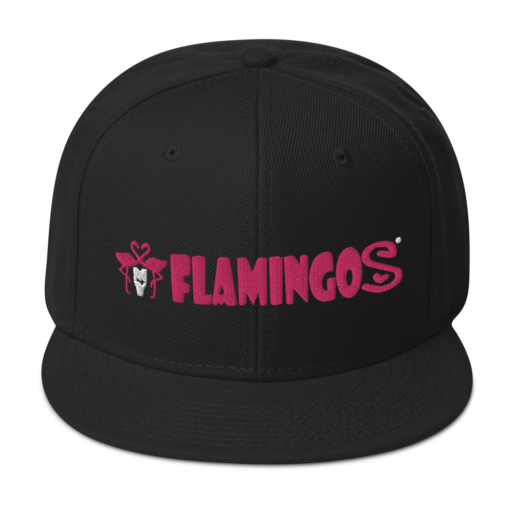 snapback-black-front-635edc290ae75.jpg